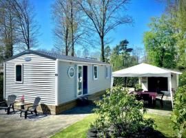 Camping de Pallegarste Eco Villa 141，位于Mariënberg的木屋