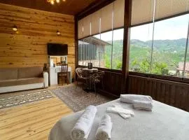 AHO 103 dağ manzaralı oda