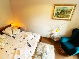Źródlana13 Apartamenty Maków Podhalański