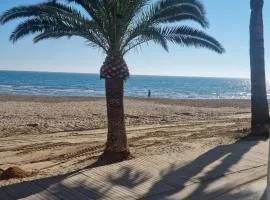 PLAYA MORRONGO-PET FRIENDLY