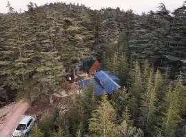Cedrus life bungalov tesisi