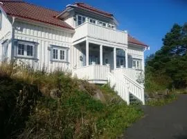Big Holiday House South of Norway, by the Osean