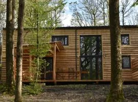 Gite cocon dans la forêt