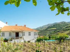Cosy Historical House in Lamego - Quinta do Cabo