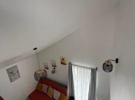 Fly