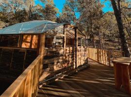 Glamping en la Sierra de Arteaga，位于Los Lirios的酒店