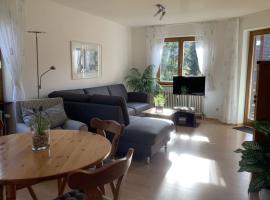 Appartementencomplex Titisee，位于蒂蒂湖-新城的酒店