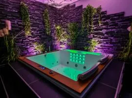 Appart' spa privatif Gray