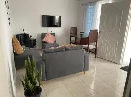 Hermoso apartamento con terraza