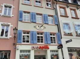 Waldshut -Kaiser55，位于瓦尔茨胡特田根的酒店
