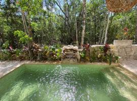 Little Oasis with private pool in the jungle，位于Chemuyil的酒店