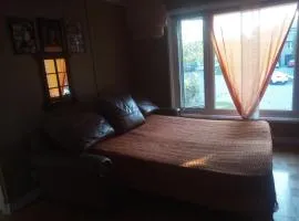 Sofa cum Bed in Living Room Shared Space