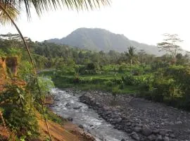 Anandinii River Lodge by AGATA