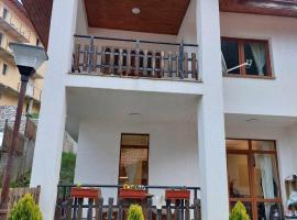 Villa Victoria，位于Stoykite的酒店