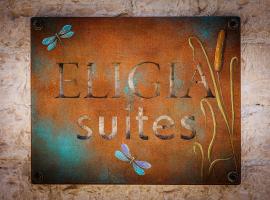 Eligia Suites，位于约阿尼纳的酒店