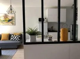 Appartement design Orléans classé 3 étoiles