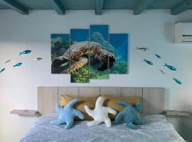 Aruba Local Stay，位于帕拉德拉的露营地