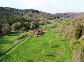 Maison d'hôtes de charme - Ancien moulin en pleine nature - La Paulusmühle，位于Soucht的酒店