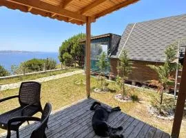 MOLA Bungalow