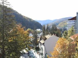 Central Park View Sinaia，位于锡纳亚锡纳亚火车站附近的酒店