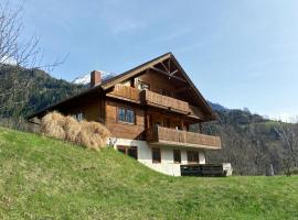 Chalet Bergsonne，位于斯皮特安德劳的酒店