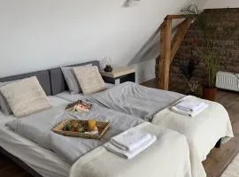 Apartamenty Astor - Księżycowy