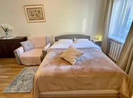 Cosy small apartment, free parking, near Old Town