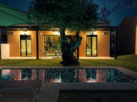 Galene Eco Luxury Villas，位于阿查拉维的酒店