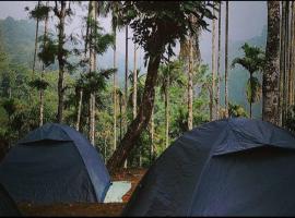 Tropical camping wayanad，位于麦帕迪的露营地