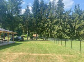 Casa Veverițelor - Căsoaia，位于Arăneag的海滩酒店