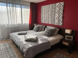 Alexander Complex, Bansko