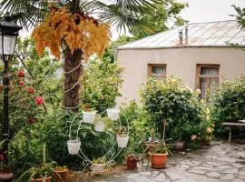 sighnaghi garden house