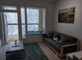 Modern compact apartment 25 minutes from Helsinki