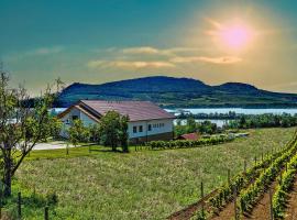 VINAŘSTVÍ & PENZION KNÁPEK STRACHOTÍN，位于斯特拉霍廷的酒店