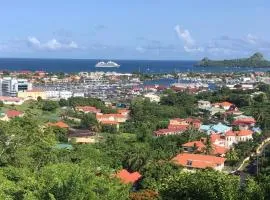 Panoramic Ocean Views