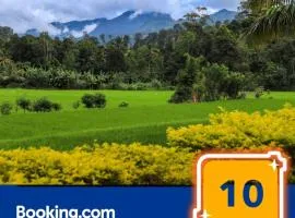 Ella Nature valley homestay