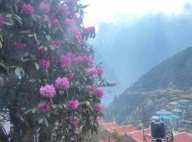 Himalayan lodge and Restuarant，位于Namche的住宿加早餐旅馆