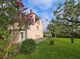 Cottage next Svihov castle