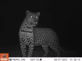 Oorlogs Kloof Mountain Retreat Montagu