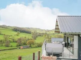 Barcud Coch - Red Kite