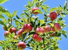 Am Apfelbaum 4 Pers