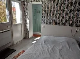 chambre avec un accès indépendant et salle de bain et toilette privatifs