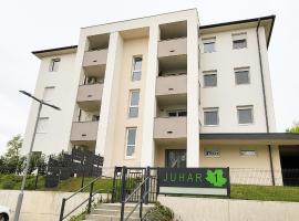 Juhar 1 Apartman，位于克塞洛的公寓