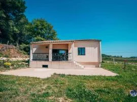 Maison neuve, au cœur des vignes