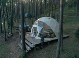 Asalnai Campsite，位于伊格纳利纳的豪华帐篷