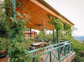 sighnaghi garden house，位于西格纳吉的酒店