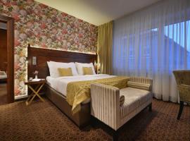 Vysocina Design Apartments，位于赫林斯科的酒店