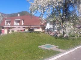 Pensiunea Valea Lupului，位于Valea Lupului的酒店