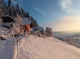 Ferienwohnung in Emmentaler Bauernhaus, Vogelsang