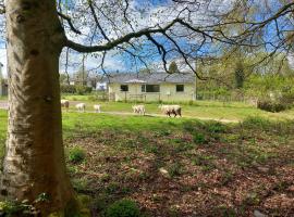 The Bungalow, Forest of Dean，位于科尔福德的酒店